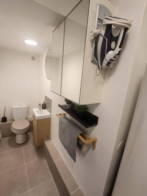 Apartment Petite Maison A Tremblay-en-France